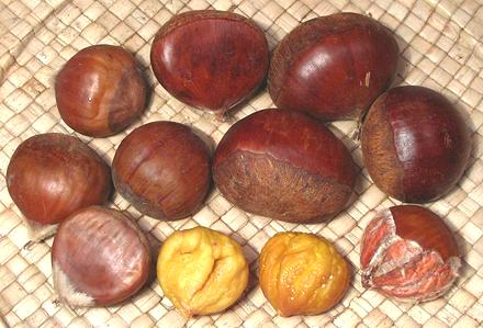 Chestnuts, whole and peeled