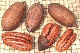 Pecan Nuts, whole and opened