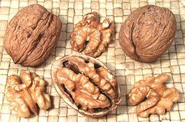 Persian Walnutes, whole and shelled