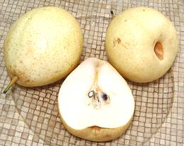 Yali Pears whole and cut