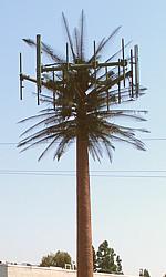 Microwave Palm Tree