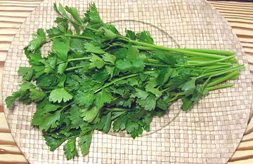 Cutting Celery, Leafy Stalks