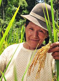 Bolivian Rice Farmer with Upland Rice
