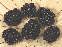 Blackberries on Dish