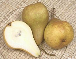 Bosc Pears whole and cut