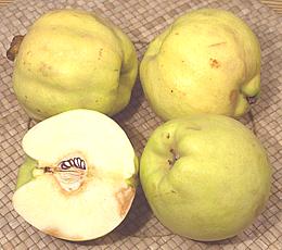 Quinces, whole and cut