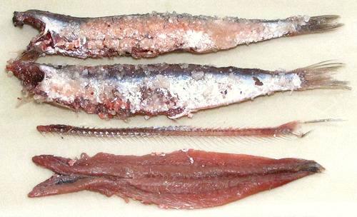 Salted European Anchovies whole and de-boned