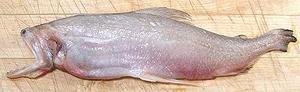 Whole Lizardfish