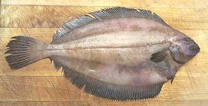 Whole Fish