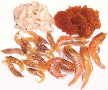 Dried and preserved Shrimp