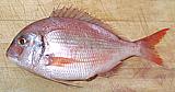 Whole Squirefish