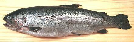 Whole Rainbow Trout