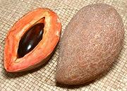 Mamey Spote Fruit, whole and cut