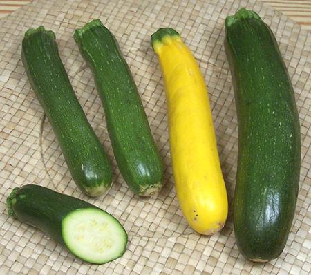 Various Zucchini Squash