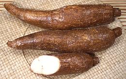 Whole and Cut Cassava Roots