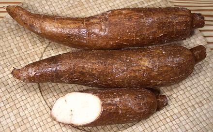 Cassava Roots, whole and cut