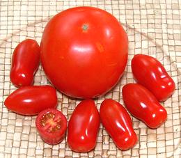 Mini San Marzano Tomatoes with Medium Tomato