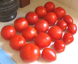 Tomatoes on Counter