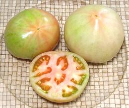 Greenish Tomatos, Whole and Cut