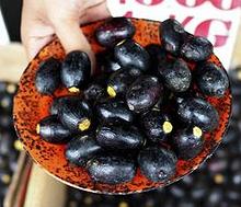 Whole Buah Dabai Fruits