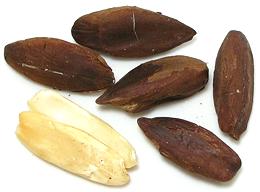 Whole and Split Pili Nuts