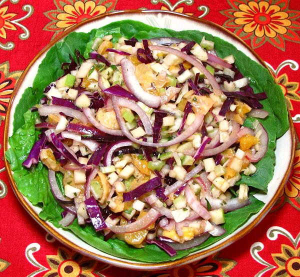 Bowl of Red Cabbage with Fennel Salad