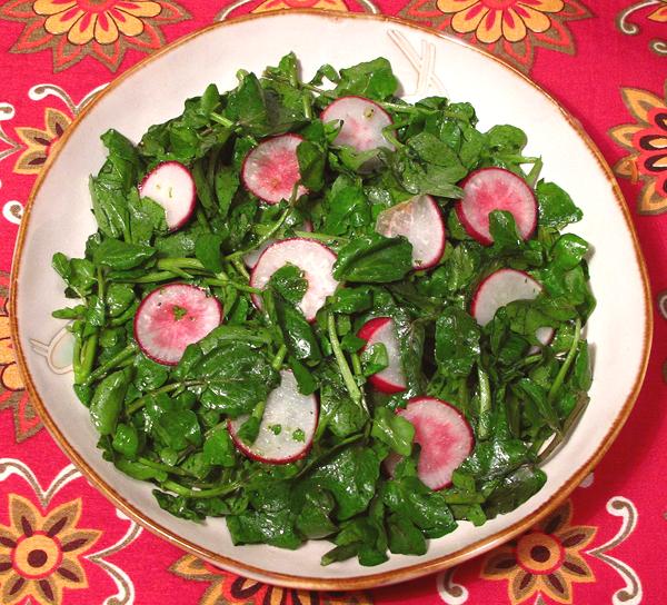 Bowl of Watercress Salad