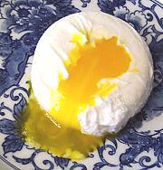 Properly Poached Egg on Dish