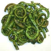 Fern Fiddleheads with Herbs