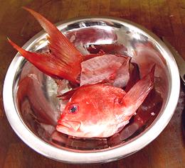 Bowl of Fish Pieces