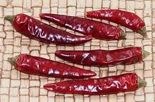 Dried Seven Star Chilis