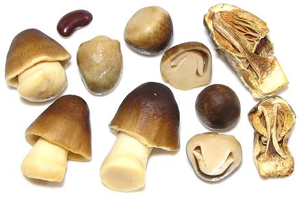 Straw Mushrooms Peeled In Brine: 68oz – Pacific Gourmet