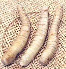 Small Arrowroot Rhizomes