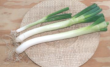 Do You Know the Differences Between Green Onions, Scallions, Spring Onions,  Garlic Scapes, Leeks, and Ramps