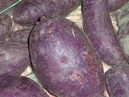 Purple Sweet Potato