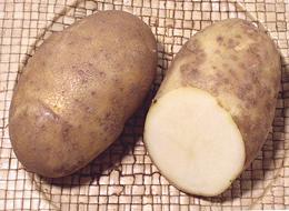 Russet potatoes