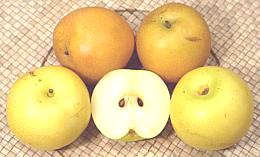 Pears