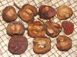 Dried Yunan Shan Zha Fruit