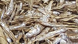 Whole Dried Silver Cyprinids