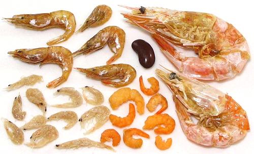 Various Dried Shrimp