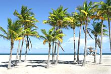 Beach with Palm Trees