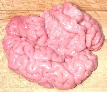 Whole Beef Brain