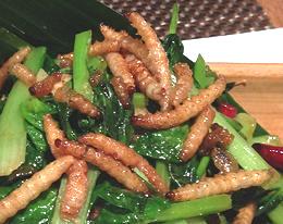 Stirfried Mealworms