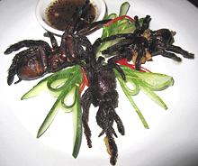 Fried Tarantulas with Sauce