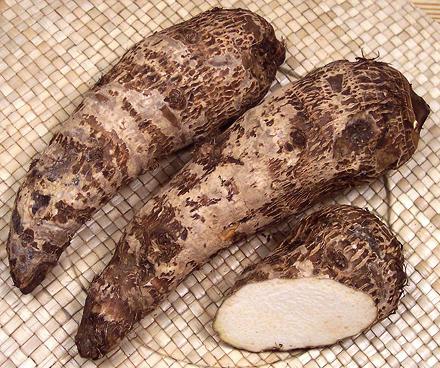 Whole and Cut Malanga Corms