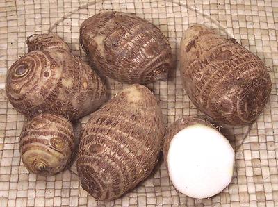 Taro Corms, whole and cut