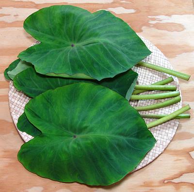 Fresh Taro Leaves