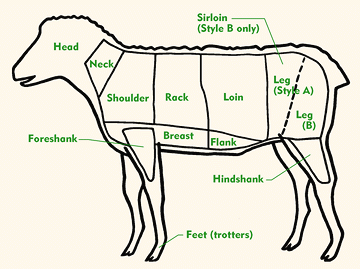 Chart of Sheep Cuts