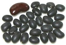 Black Turtle Beans