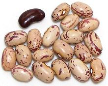 Cranberry Beans